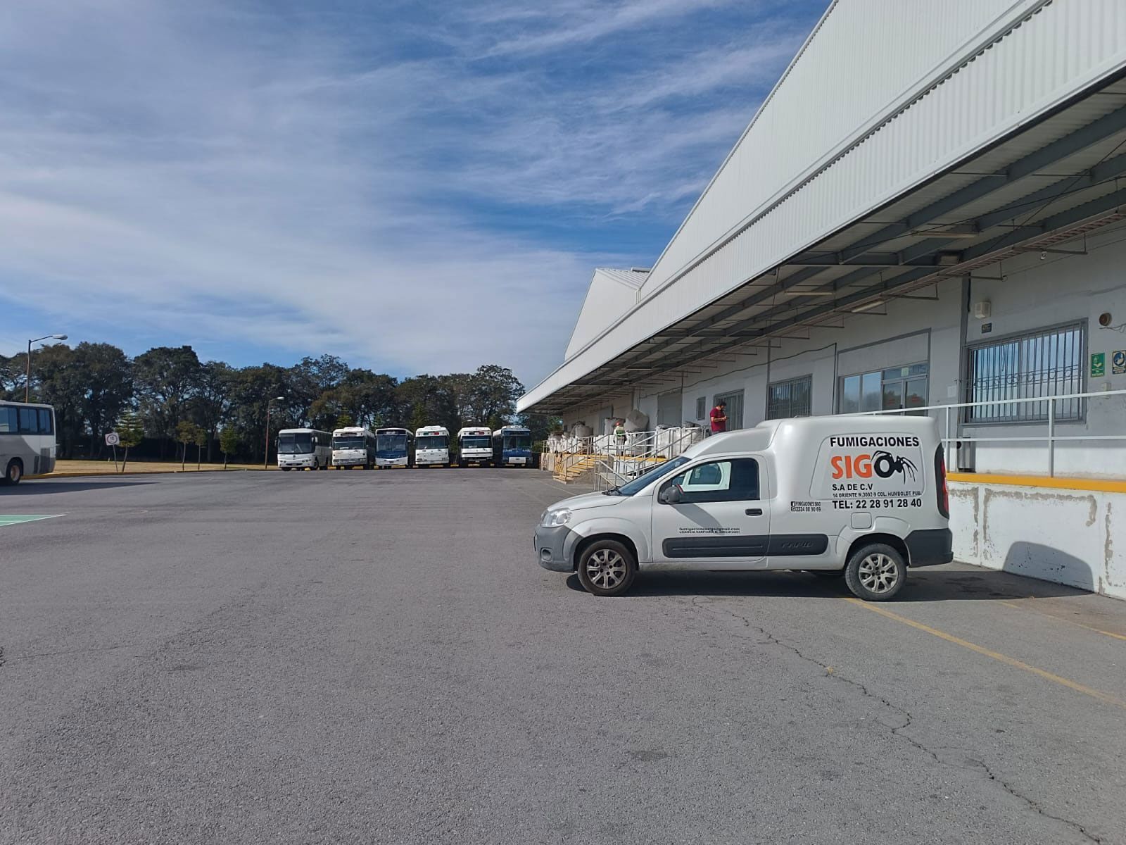 FUMIGACIONES SIGO