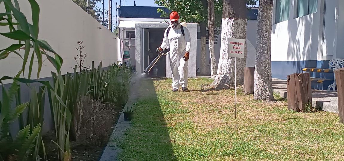 FUMIGACIONES SIGO