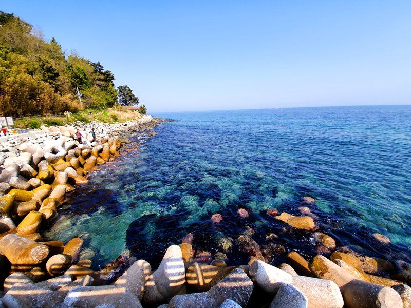 Shore of Clean Water