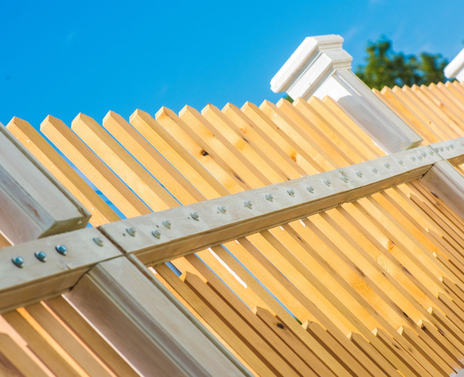 Timber Fence during construction