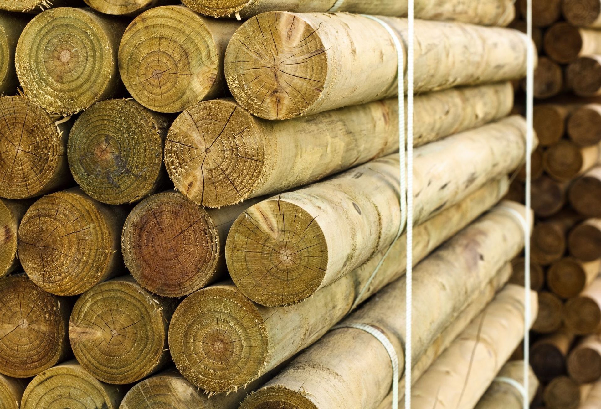 Large round treated timber posts