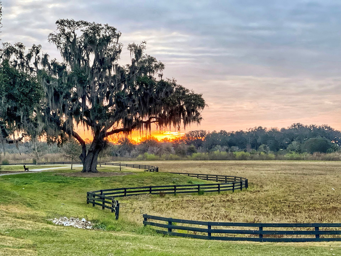 Hogeye pathway at sunrise by Ronnie Clark