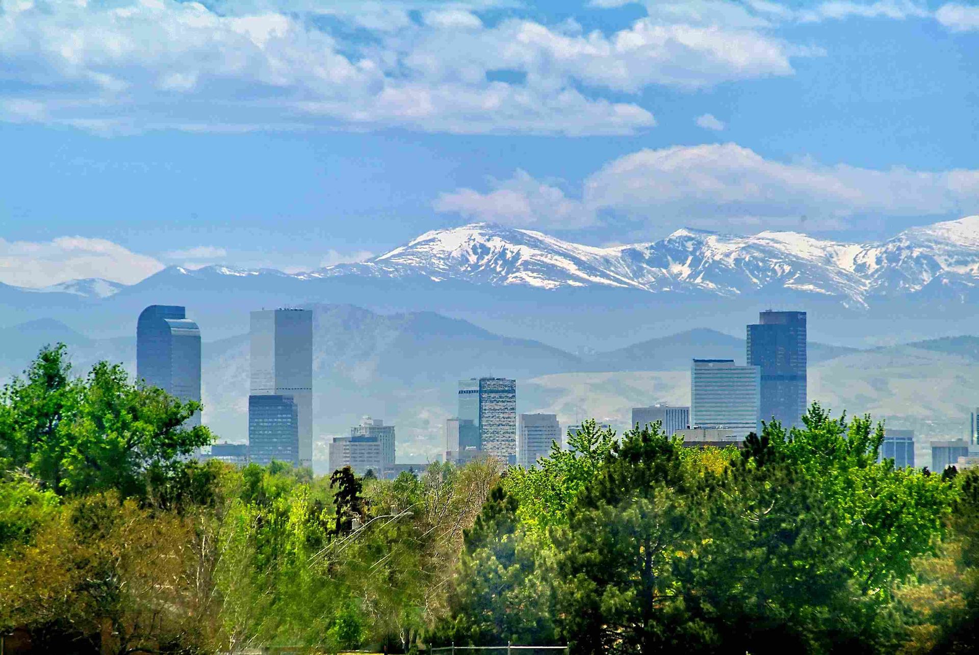 Denver skyline with snow-capped mountains in the background, trees in foreground under a blue sky.