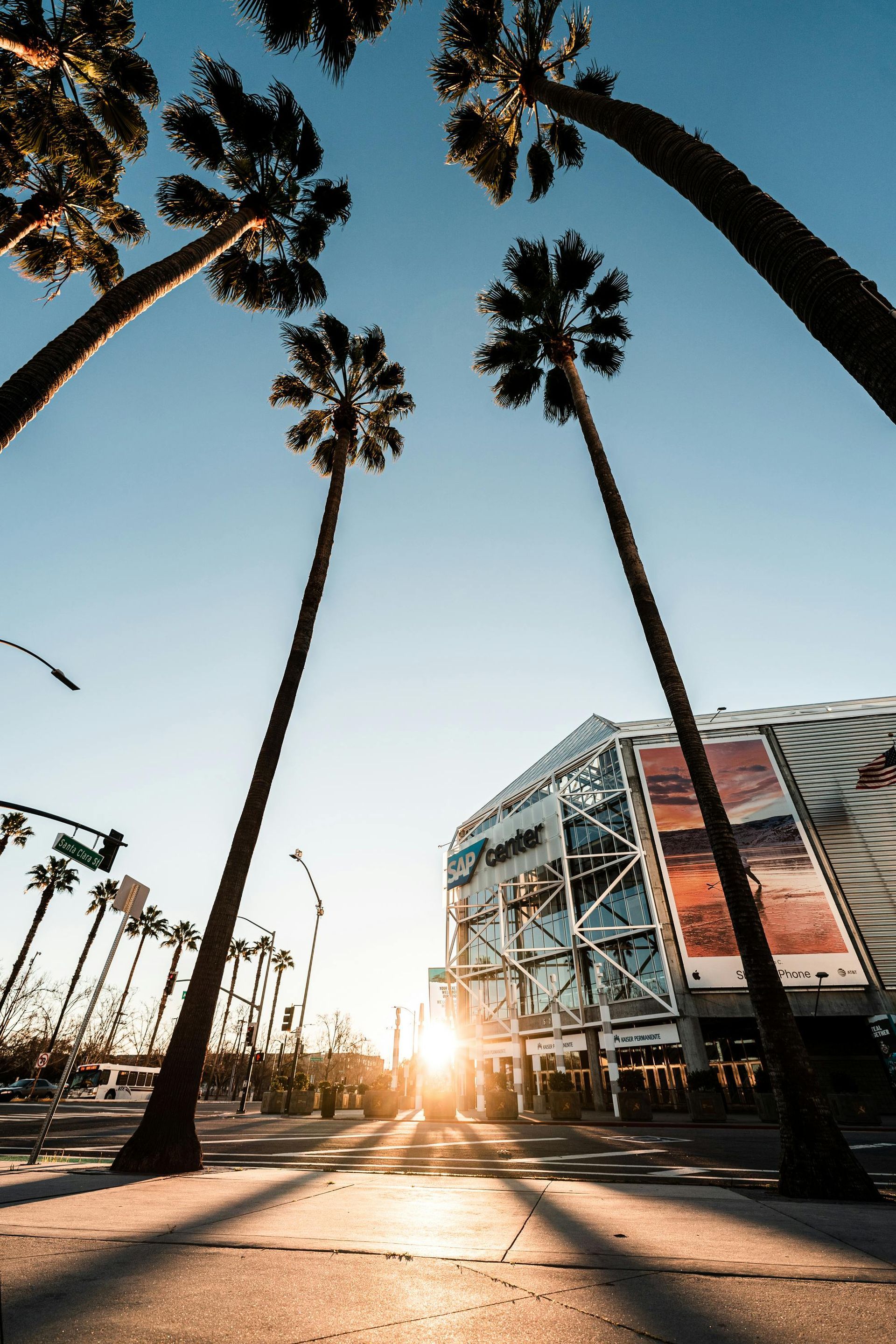 Palm trees frame a sunny view of a modern building; the sun shines brightly.