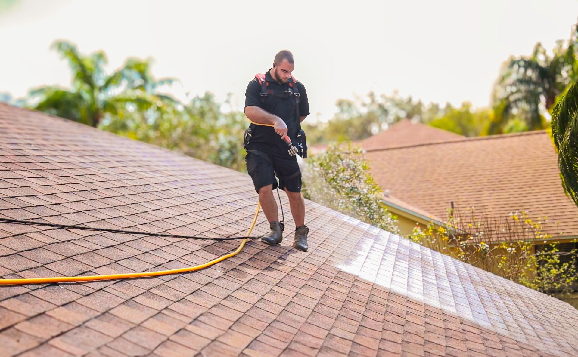 roof rejuvenation experts