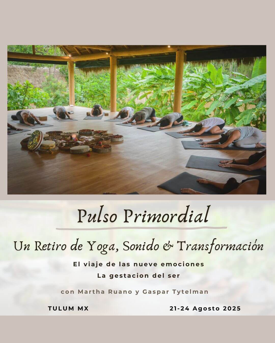 Flyer Pulso primordial