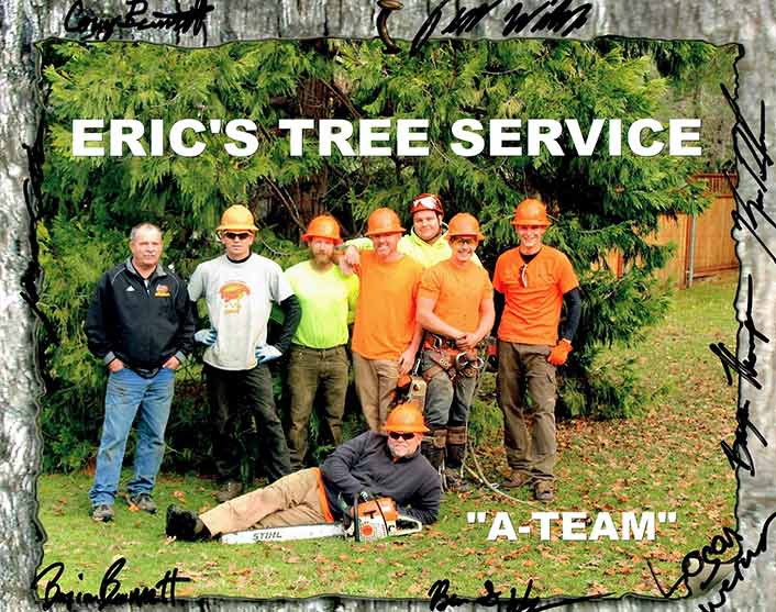SaveMore Tree Service - Affordable Tree Removal & Trimming Services