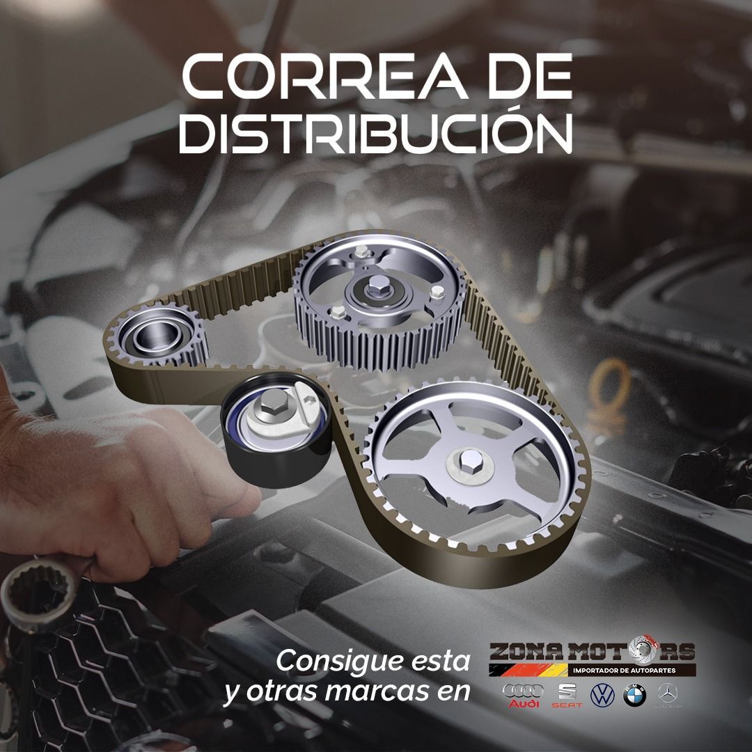 Correa de Distribución - Comercializado por Zona Motors
