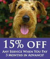 Dog, In-Home Pet Services in Chesapeake, VA