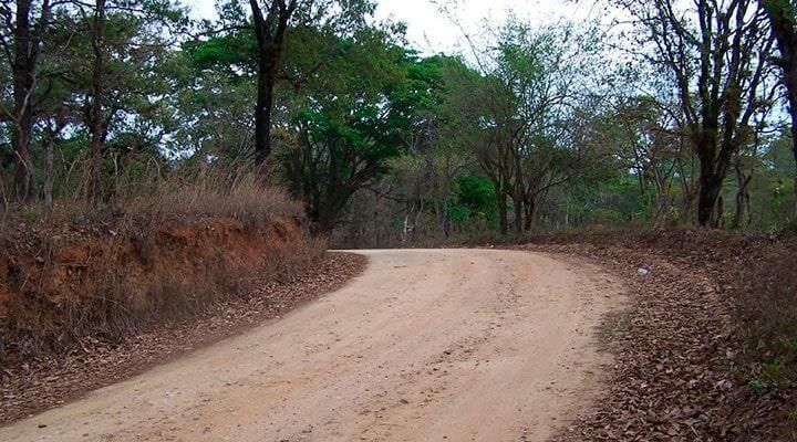 Un camino de tierra que atraviesa un bosque con árboles a ambos lados.