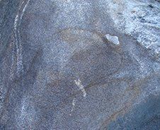 Petroglyph of Beluga Whales Discovered in Georgia. More information coming soon.