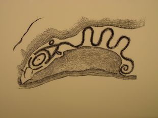Serpent-Mounds-sketch
