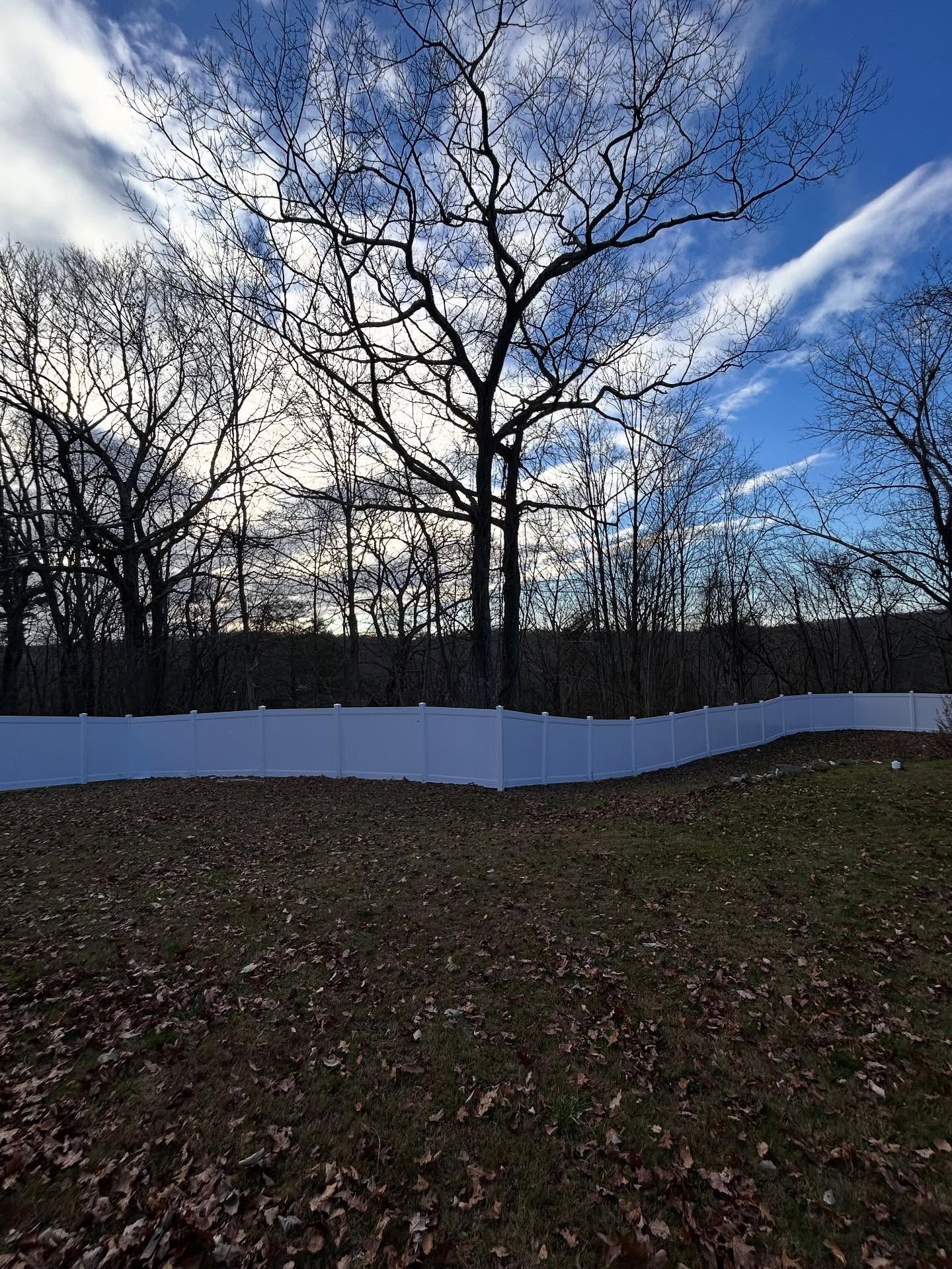 A white vinyl privacy fence separates a leaf-covered lawn from a line of bare trees under a bright blue sky.