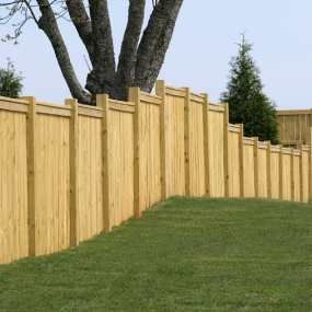 A light-brown, vertical wood privacy fence spans a grassy lawn, with a large tree and a small evergreen visible behind it.