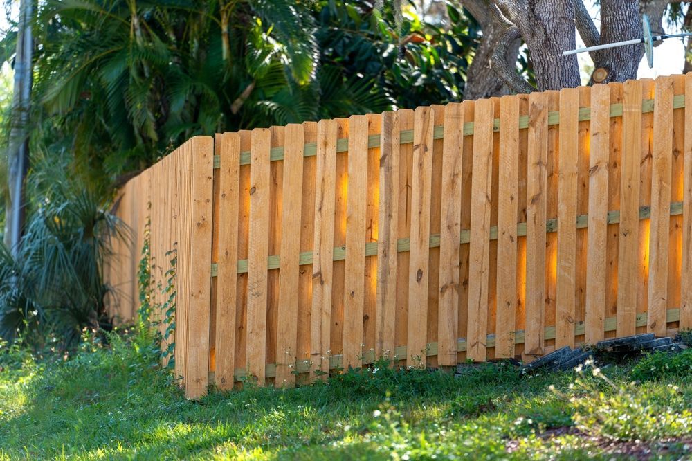 A wood-slatted privacy fence borders a grassy yard filled with sunlight, set against a backdrop of trees.
