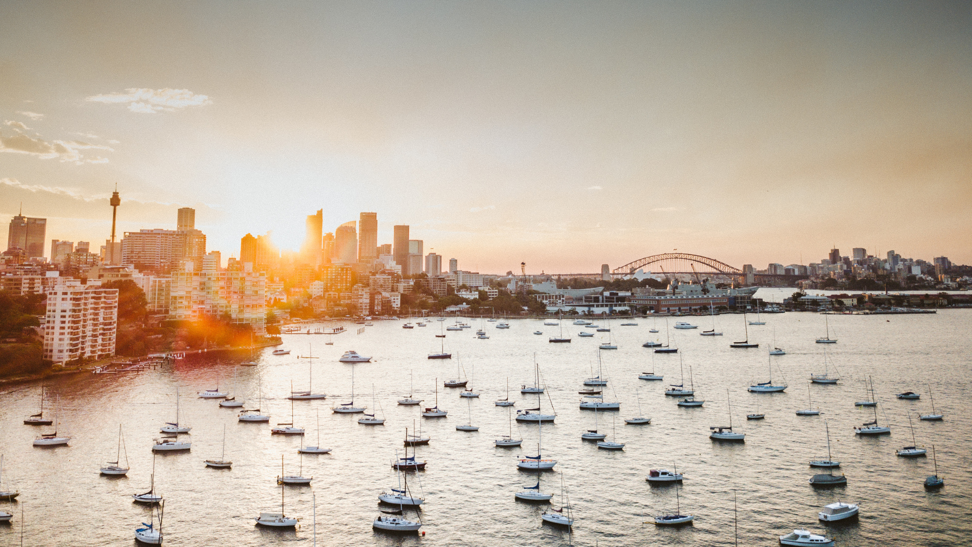 Harbor view of a cityscape at sunset; many sailboats in the water, golden light illuminating buildings.