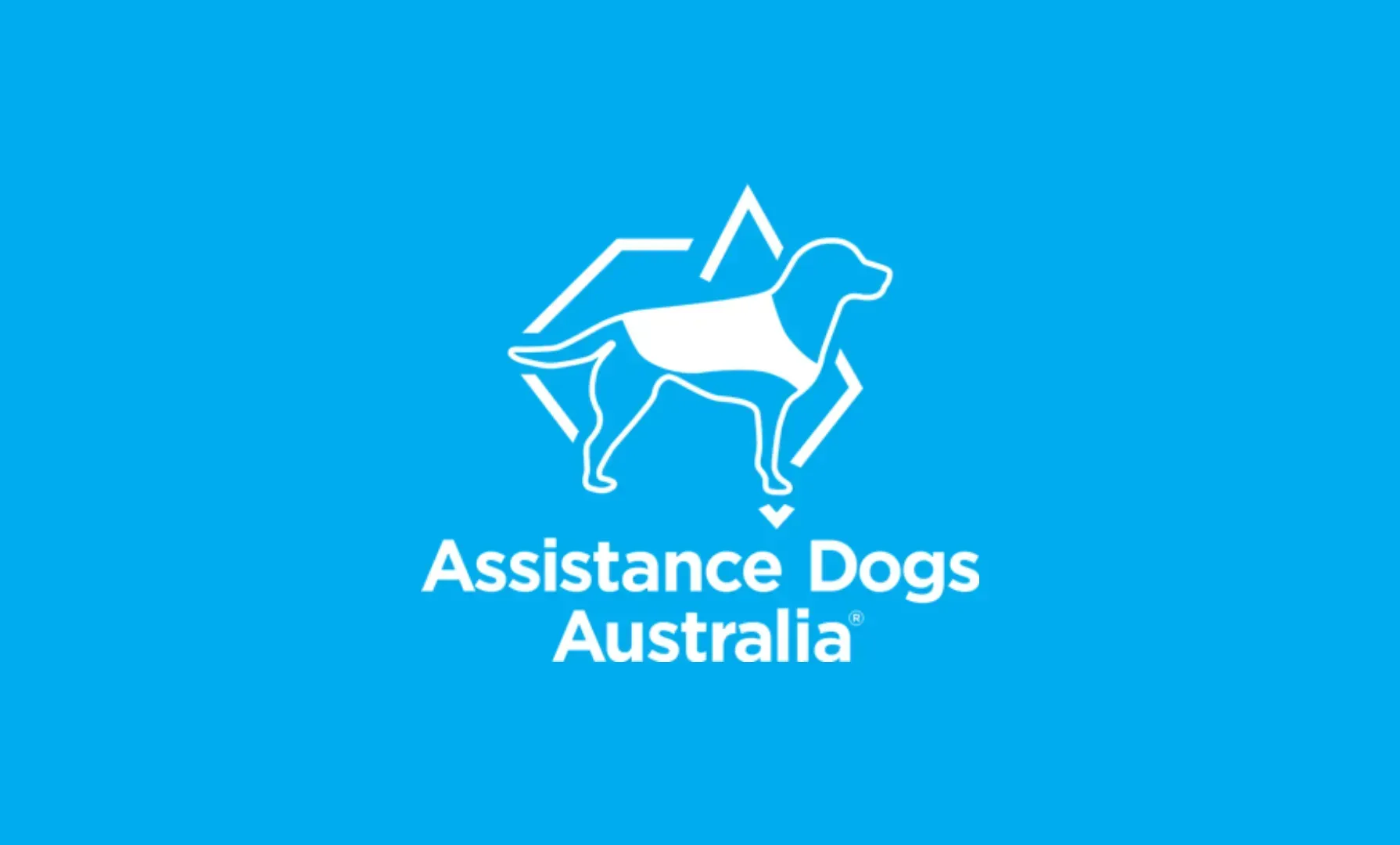 White dog wearing vest inside a blue geometric shape, with 