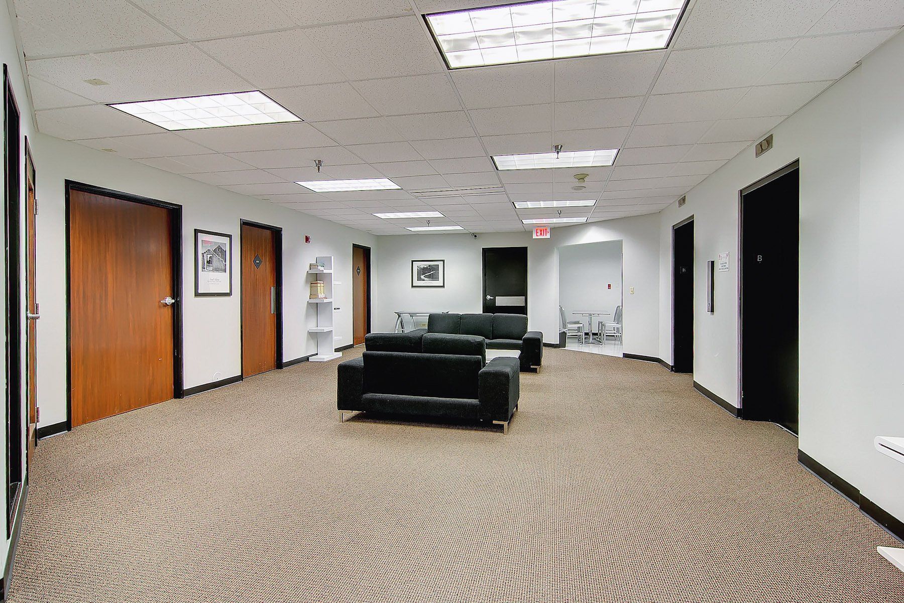 basement furnished with 2 couches and a table