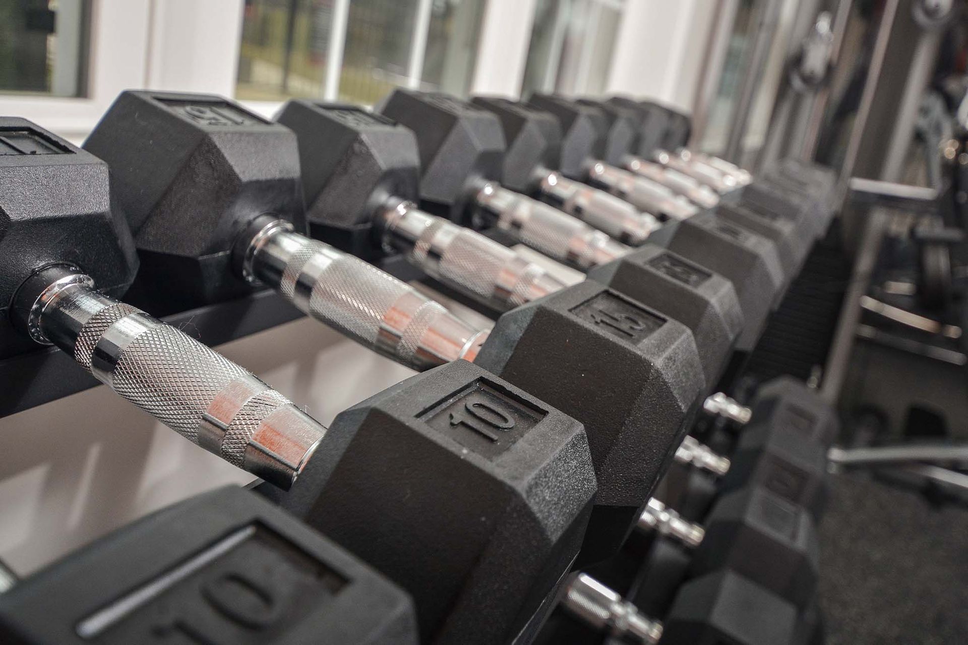 Row of dumbbells on a rack in a residential gym.