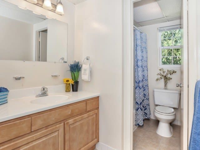 Bathroom with wooden vanity, large mirror, and toilet with blue shower curtain.