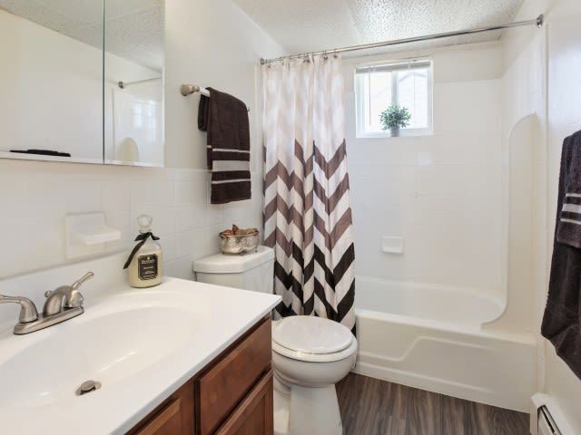 Bathroom with a white vanity, sink, toilet, and tub/shower with a striped curtain.