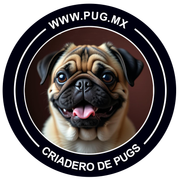 pug en venta logo