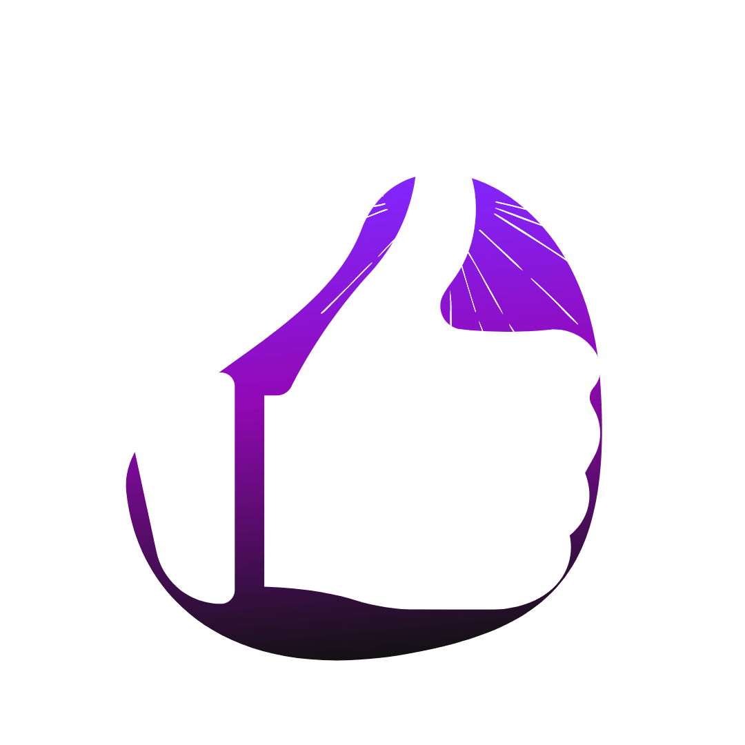 ממדיה דיגיגל - ניהול במדיה