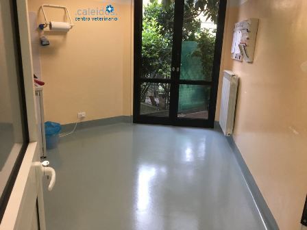 RICOVERI VETERINARIO