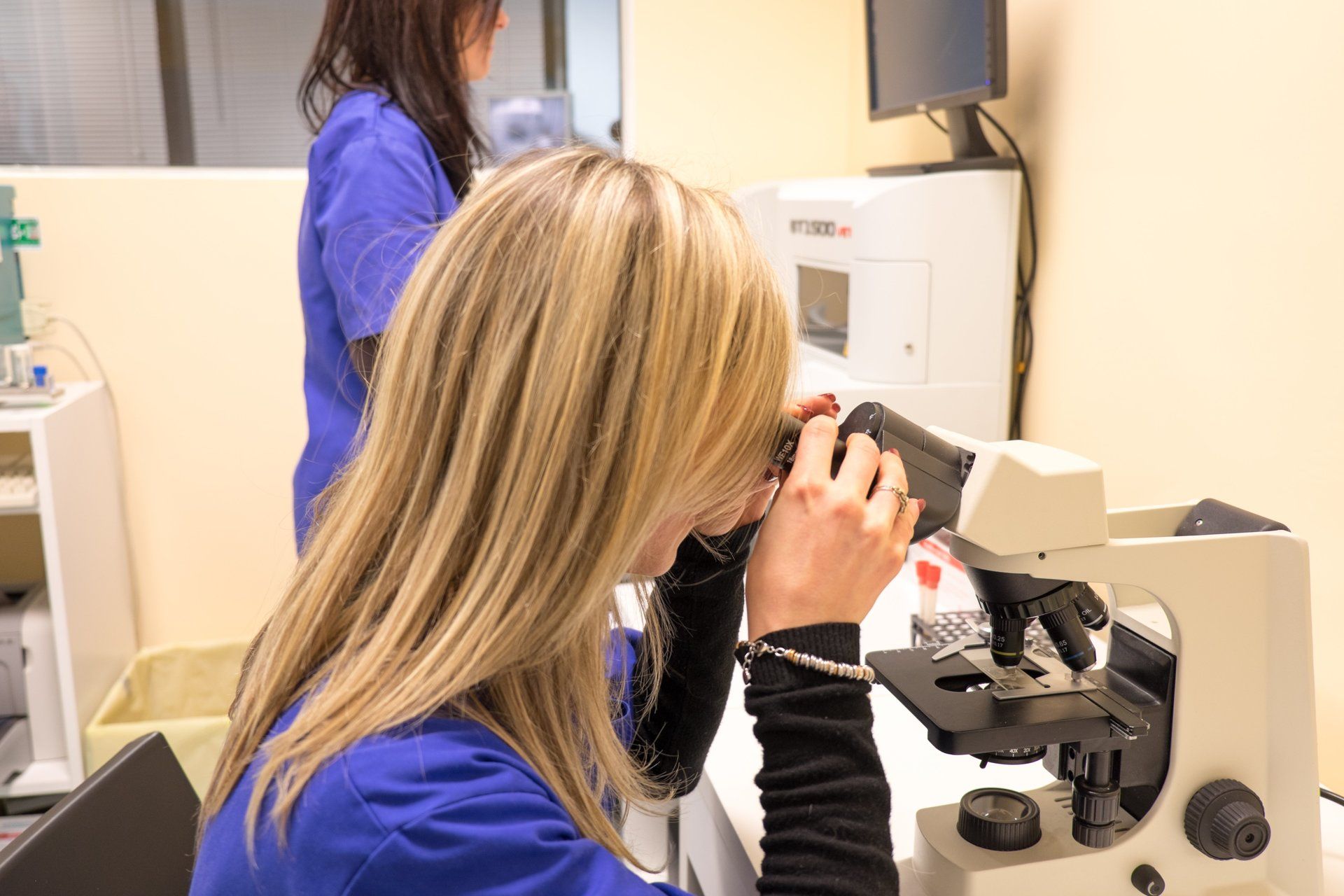 laboratoire d'analyse - examen au microscope