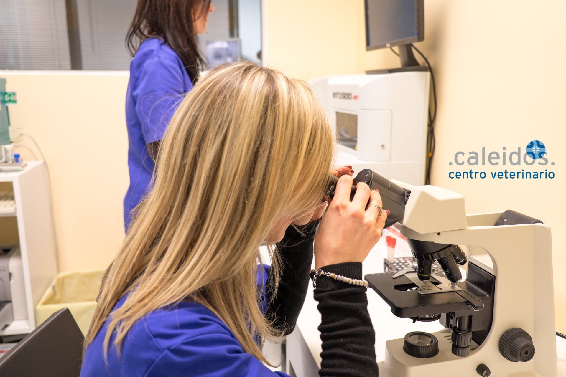 laboratorio analisi - esame microscopico