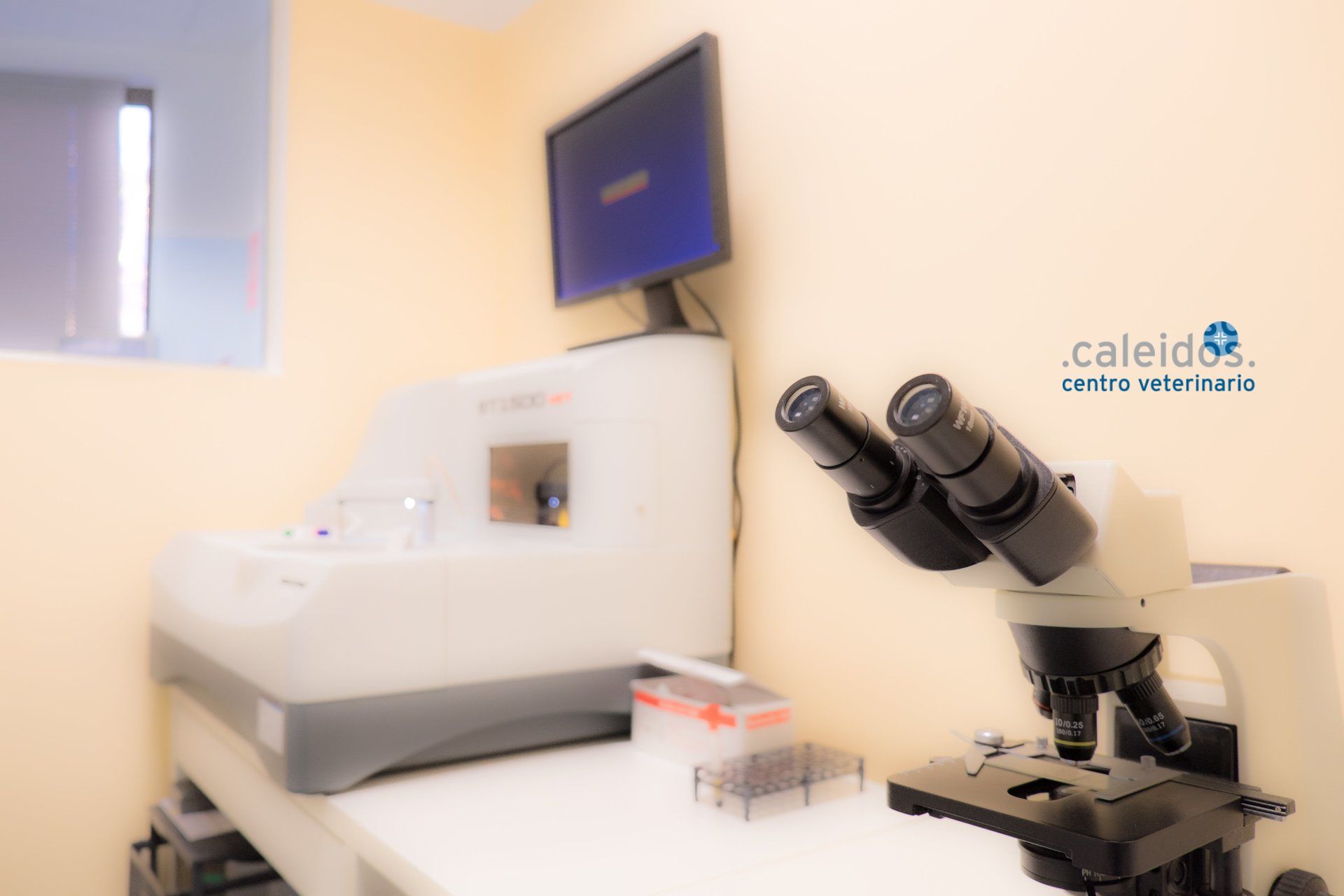 ESAMI DI LABORATORIO CANI GATTI