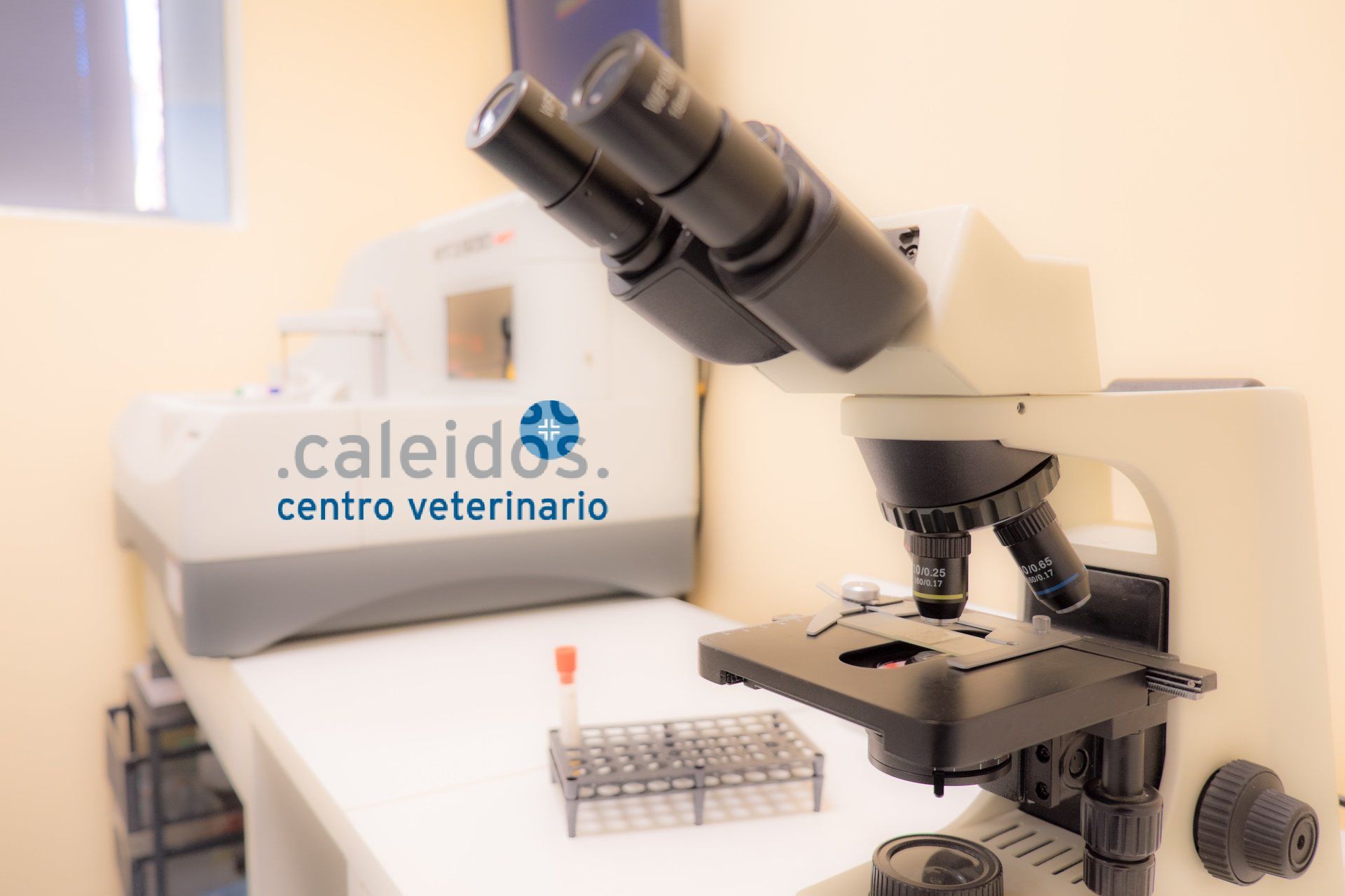 laboratorio analisi microscopio