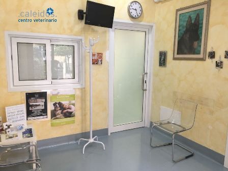 Sala d'attesa Caleidos