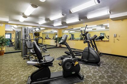 There are many different types of exercise equipment in this gym.