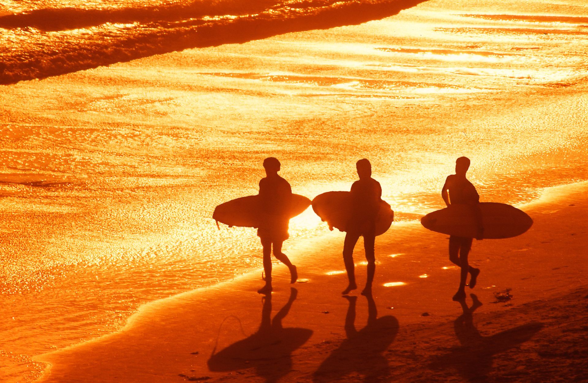 Three surfers are walking on the beach at sunset