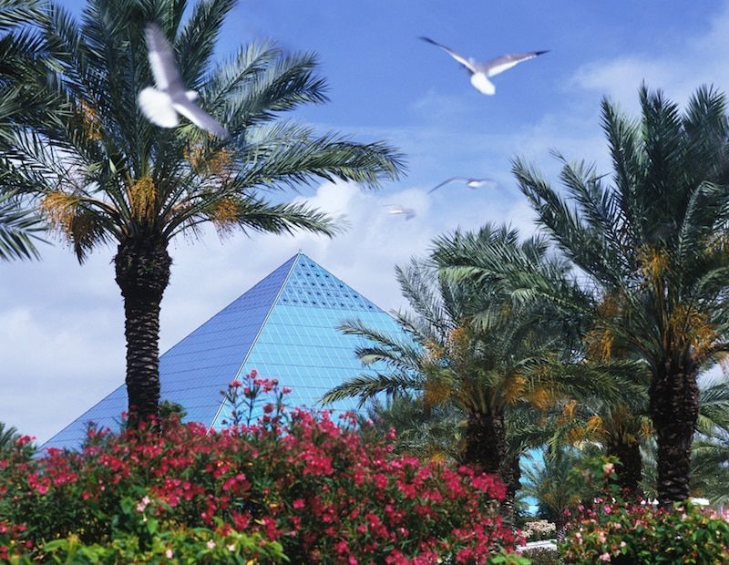 A blue pyramid is surrounded by palm trees and flowers