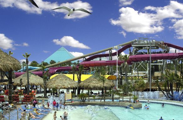 A seagull is flying over a water park with a pyramid in the background