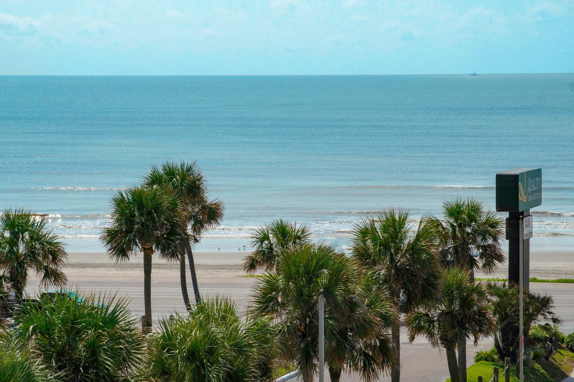 A view of the ocean from a hotel room with palm trees in the foreground.