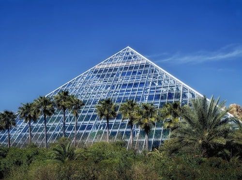 A pyramid shaped building with palm trees in front of it