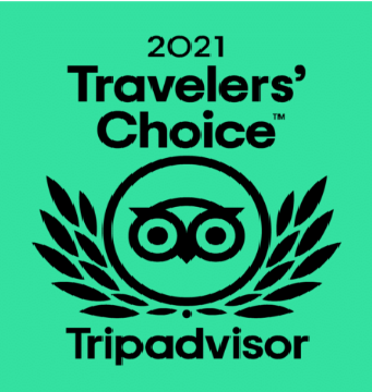 Travelers choice tripadvisor logo on a green background