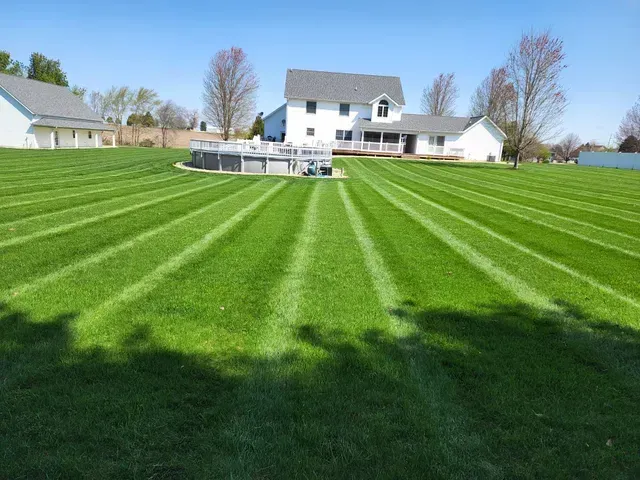 A lush green lawn with a house in the background.