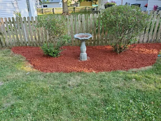 A bird bath is sitting in the middle of a garden surrounded by mulch.