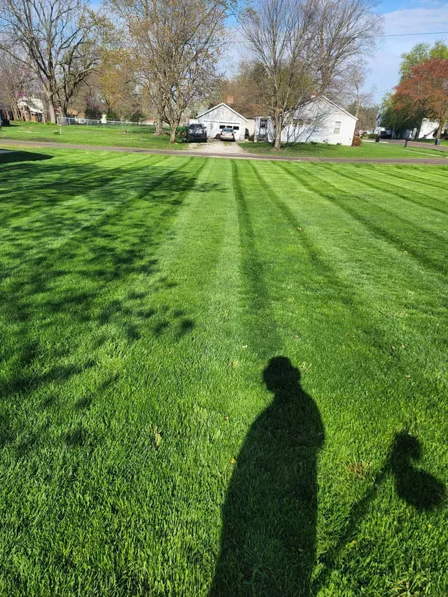 A shadow of a person is cast on a lush green lawn.