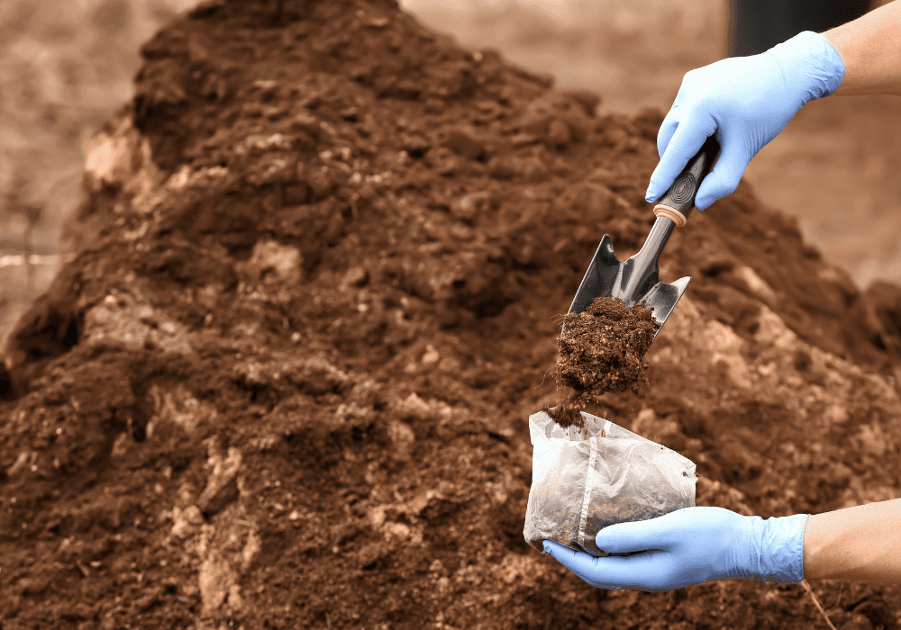 Shoveling Soil Into Paper Bag