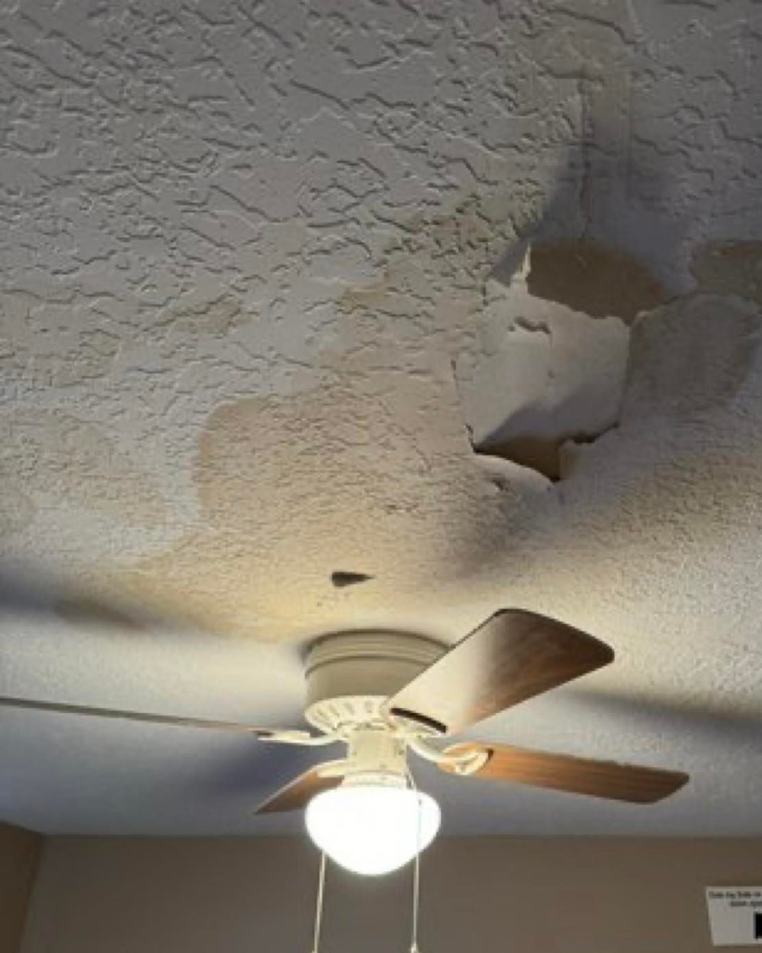 Ceiling with water damage and peeling texture above a lit ceiling fan.