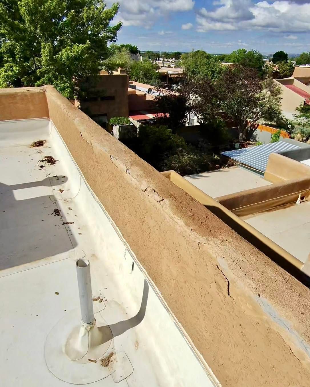 View from a rooftop with a low, tan wall. Trees and buildings are visible in the distance under a blue sky.