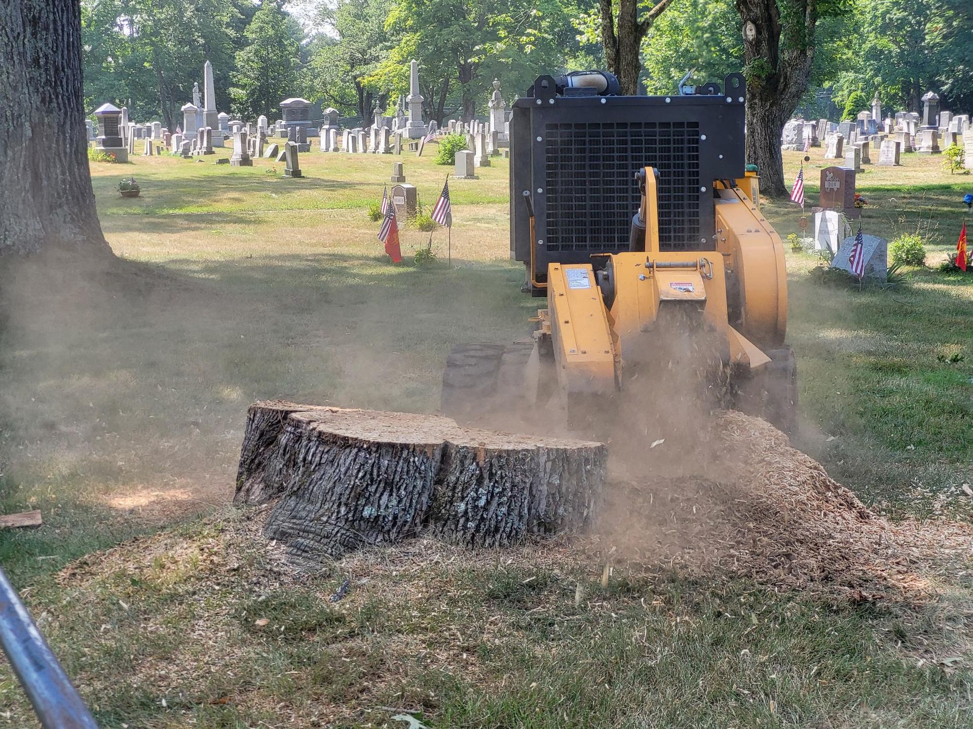 A lush green field with trees in the background and a blue sky with clouds.