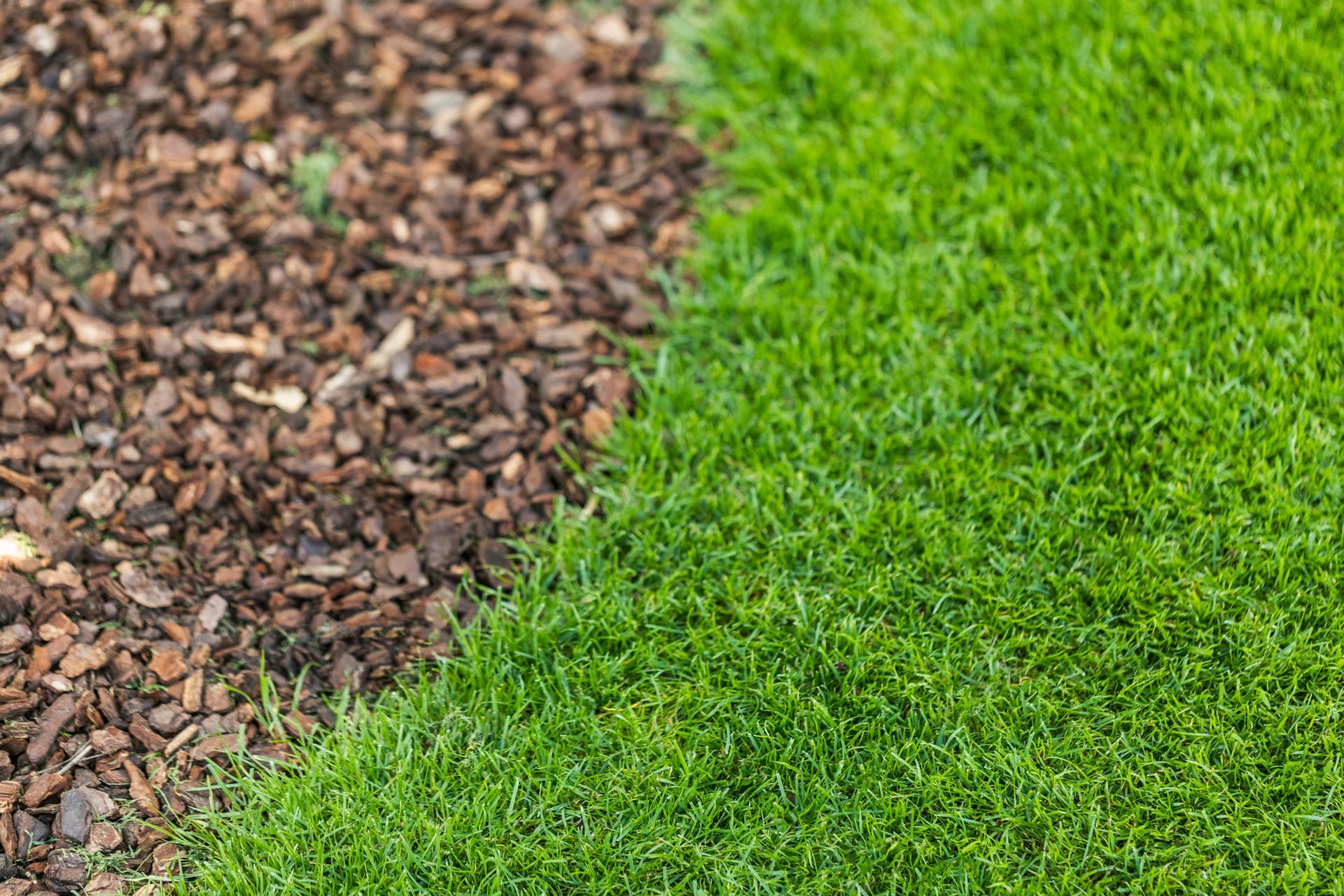 A close up of a lawn next to a pile of mulch.
