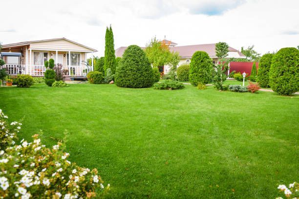 A large lush green lawn with a house in the background.