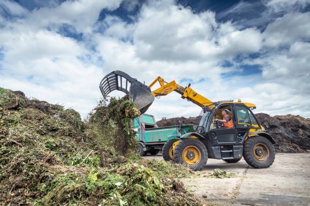 A bulldozer is loading a pile of grass into a truck.